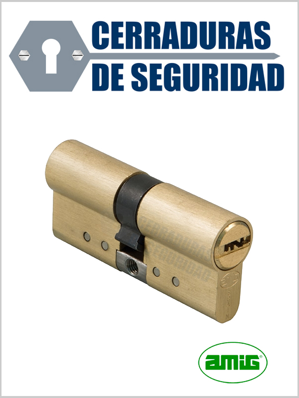 Kit Escudo Protector Blindado Alta Seguridad con Alarma DISEC BD280LED-ROK  dB+SIM + Bombin MAUER NW5