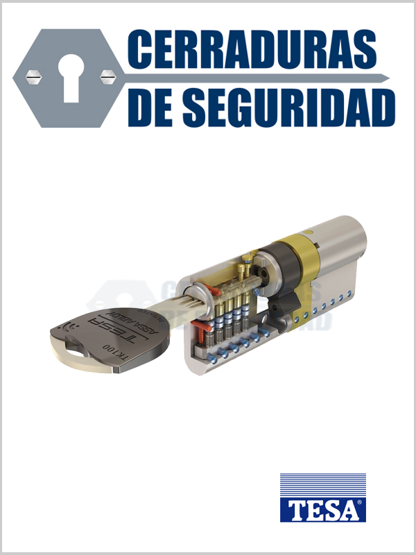 Bombín TESA TK100 Alta Seguridad AMAESTRAMIENTO - Cerradura Plus